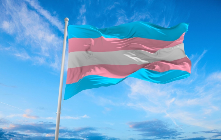 Transgender flag