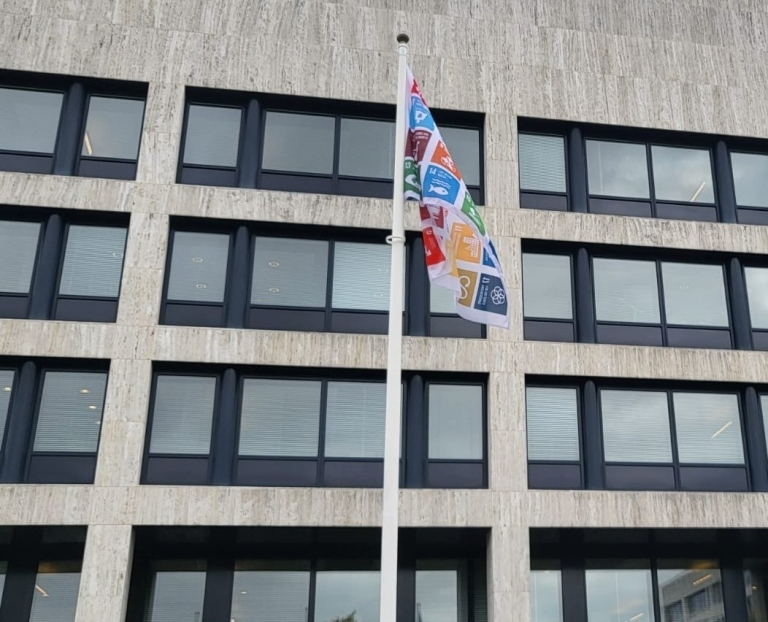 Sustainable Development Goals flag