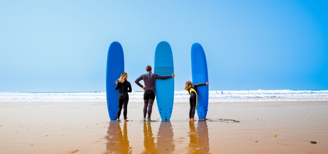 CMD Surfer family