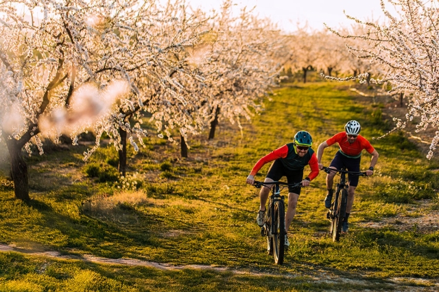 Two men cycling in an orchard