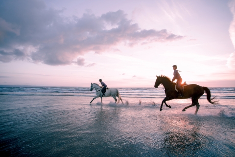 Horse riding on the beach