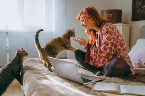 Woman working on a bed with two cats